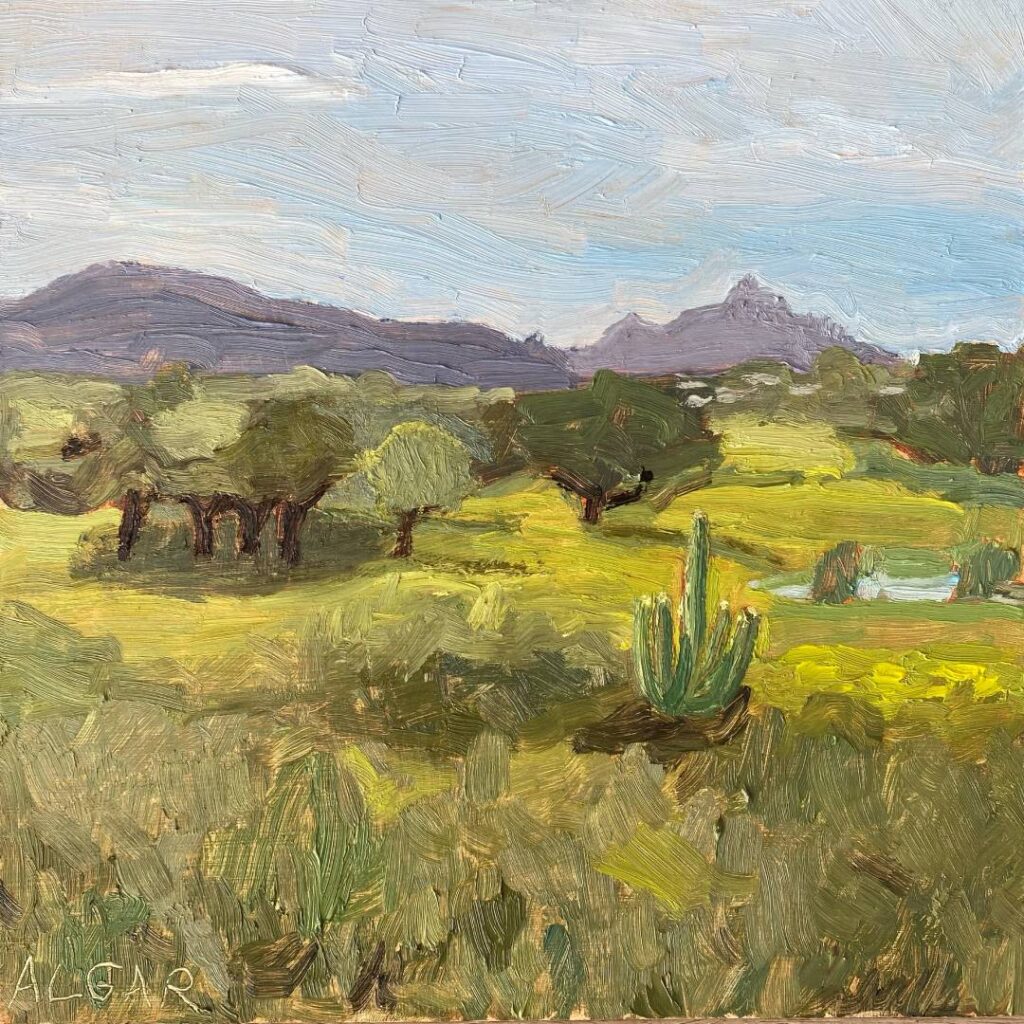 "View of Tandjiesberg," a 24 x 24 cm oil painting on board by Karoo-based artist Tracy Algar, illustrating the inspiration found in the Graaff-Reinet landscape for plein air and studio work.